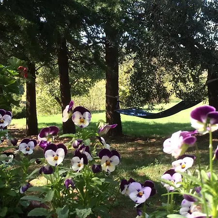 Villa Agriturismo Panorama *