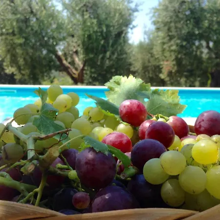 Agriturismo Panorama *